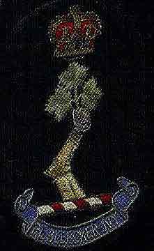 Blazer badge
